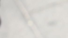 Fertilidad hombres dispositivos electrónicos