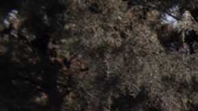 bomberos en labores de búsqueda en la aldea San Miguel Los Lotes.