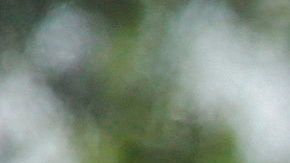 Familias migrantes son procesadas en la Estación Central de Autobuses en McAllen.