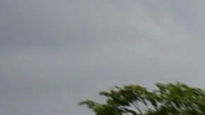 Miles de nicaragüenses participan en la "Marcha de las Flores".