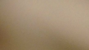 La nueva propuesta de Trump prende las alarmas de defensores de inmigrantes