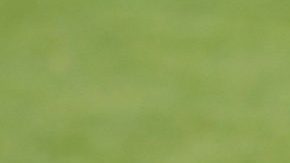 El delantero peruano Raúl Ruidíaz. (Foto: EFE/ Daniel Kopatsch)