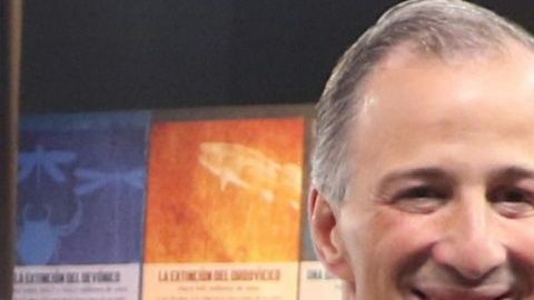 El candidato a la presidencia de México José Antonio Meade . (Foto: EFE)
