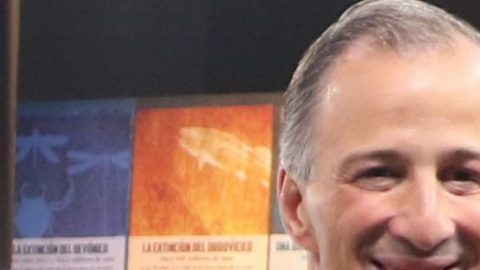 El candidato a la presidencia de México José Antonio Meade . (Foto: EFE)