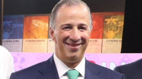 El candidato a la presidencia de México José Antonio Meade . (Foto: EFE)