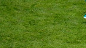 Mesut Oezil no toleró los señalamientos de los aficionados germanos. (Foto: EFE/EPA/DIEGO AZUBEL)