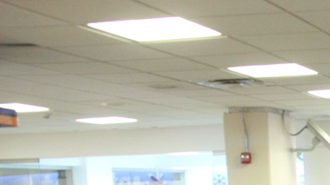 El monto del fraude asciende a los $5 millones de dólares