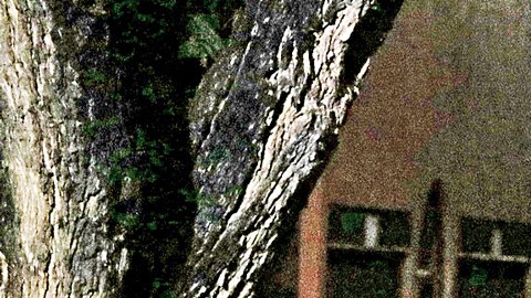 Atacan a familia en la Ciudad de México.