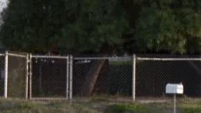 La policía busca testigos.