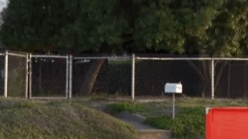 La policía busca testigos.