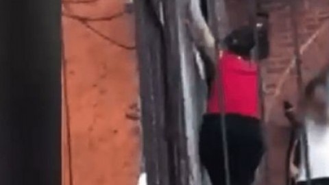 La mujer solo quería recuperar su propiedad.