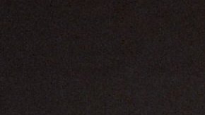 El nuevo propietario deberá hacerse cargo de los necesarios gastos médicos del gato.