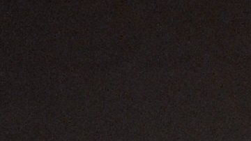 El nuevo propietario deberá hacerse cargo de los necesarios gastos médicos del gato.