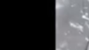 Aficionados colombianos