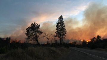 2017 fue año el más devastador en la historia de California por los incendios