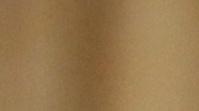 La ex-comisionada del Servicio de Inmigración y Naturalización (INS), Doris Meissner, en un evento del Diálogo Interamericano en Washington el 5 de junio de 2018 . ©  Rick Reinhard  2018