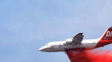 Más de 200 bomberos y varios aviones luchan contra el fuego.
