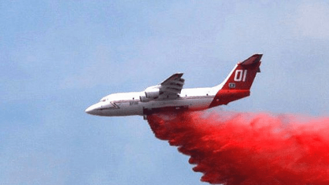 Más de 200 bomberos y varios aviones luchan contra el fuego.