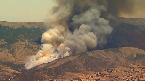 El incendio comenzó en la cuadra 35100 de Anthony Road.