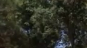 La agencia confisca 200,000 libras de fuegos artificiales ilegales al año.