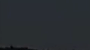 Imagen del gatito corriendo por la carretera.