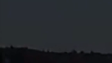 Imagen del gatito corriendo por la carretera.