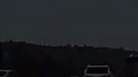 Imagen del gatito corriendo por la carretera.