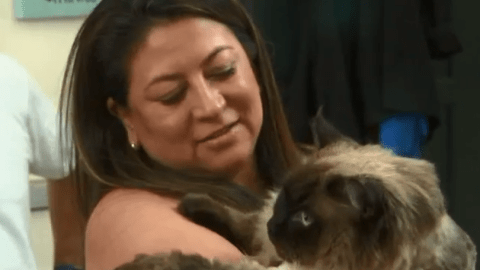 Yvette Viola, de Monrovia, se enamoró de Chubbs.
