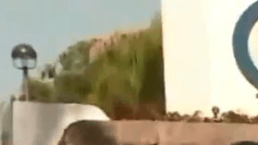 Los activistas exigen que Kareen Wynter sea liberado del centro de detención.