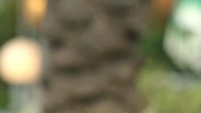 Scott Disick y Sofia Richie.