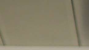 CBP ubicó a los inmigrantes que intentaron viajar a Carolina del Norte.