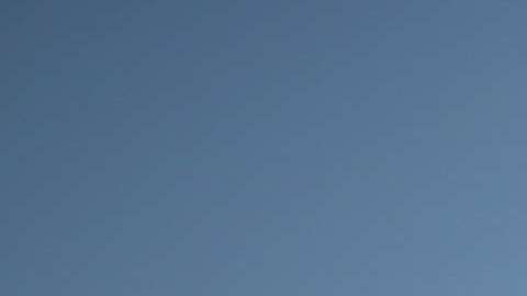 Un niño salvadoreño, de un año, abraza a su madre mientras ella se entrega a la Patrulla Fronteriza en Texas.