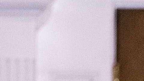 El tema surgió antes de que Giuliani fuera abogado del presidente.