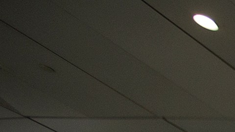 En febrero de 2017 se generó caos en varios aeropuertos de EEUU.