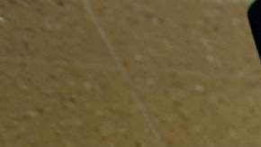 La comunidad hispana ve buenas oportunidades en EEUU.