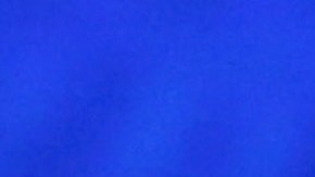 Trump Jr. presenta orgullosamente a su nueva novia tras su separación