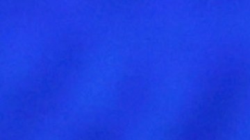 Trump Jr. presenta orgullosamente a su nueva novia tras su separación