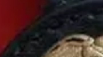 Una innovadora agenda política a favor de los indocumentados aterriza en Nueva York