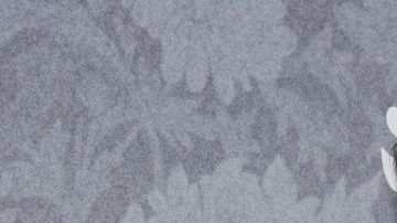 Benedict Cumberbatch