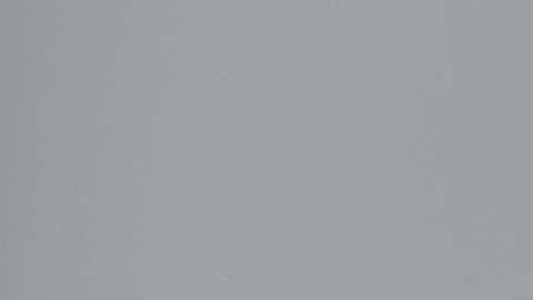 Ivanka Trump no se ha pronunciado sobre la separación de niños inmigrantes de sus padres.