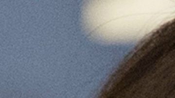 Nuevo reporte habla de un posible regreso de Melania a Nueva York