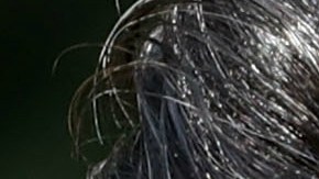 Trump hizo estas polémicas declaraciones en la cumbre del G7