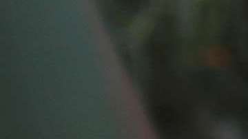 Agente de CBP toma en custodia a una niña y a su madre solicitantes de asilo.