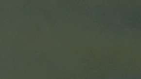 Un niño y su padre, originarios de Honduras, piden asilo a agentes fronterizos.