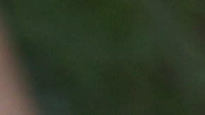 El gobierno de EEUU ha retenido alrededor de 2,000 niños.