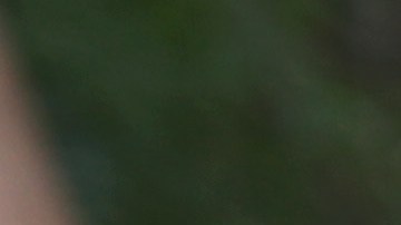 El gobierno de EEUU ha retenido alrededor de 2,000 niños.