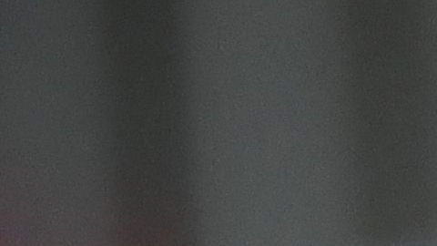 Una seguidora polaca durante el partido Polonia-Senegal en Rusia 2018.