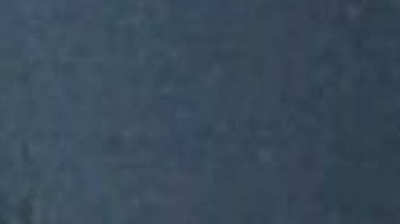 La rata decidió comer dinero hasta la muerte.