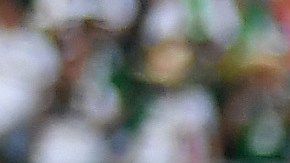 Los últimos con vida.