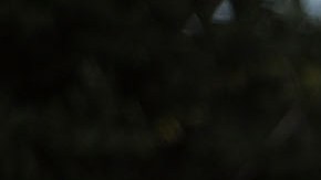 Una vigilia de oración frente a Casa Padre, un centro para niños inmigrantes en Texas.